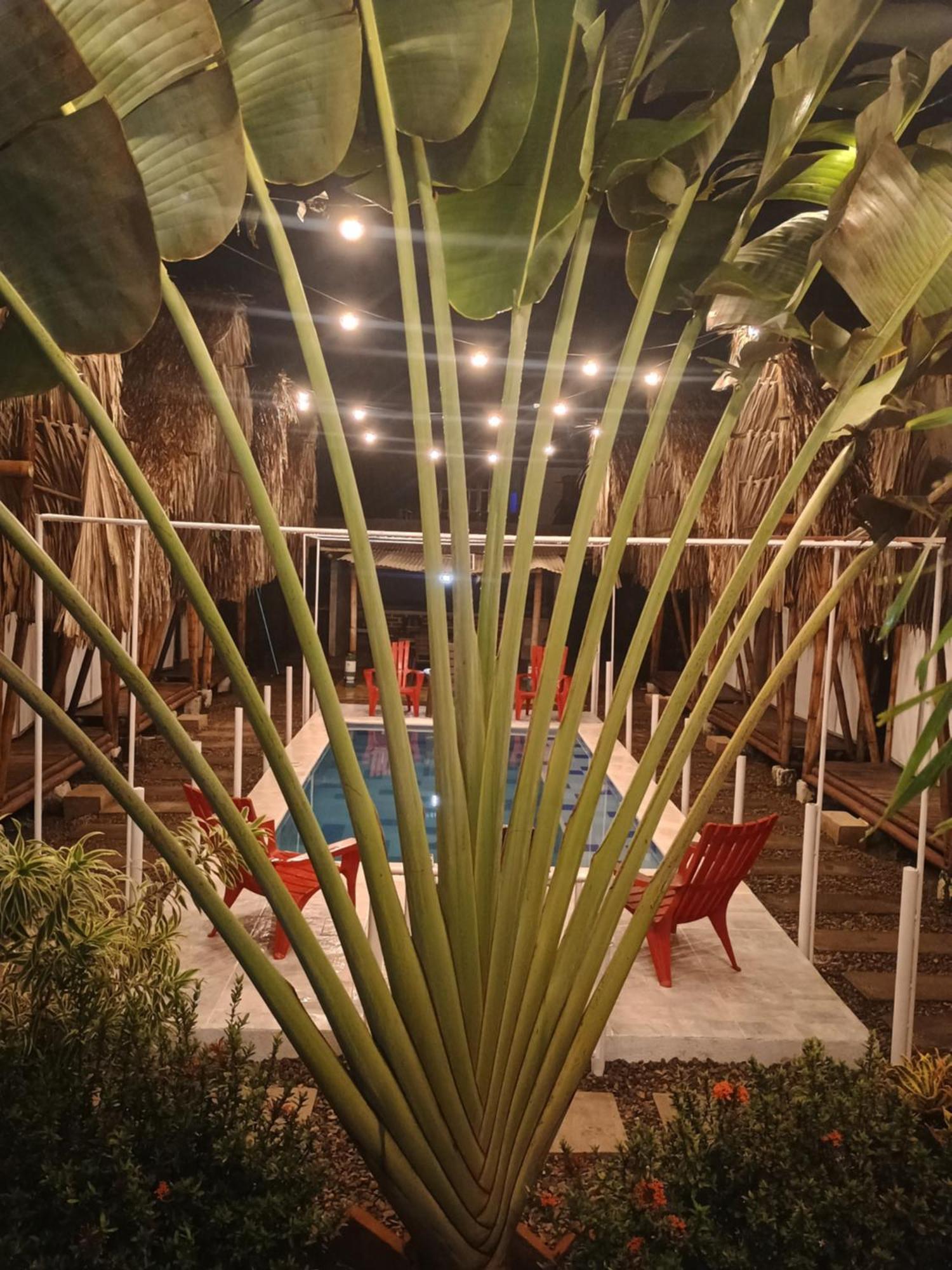 Cabana Beach بالومينو المظهر الخارجي الصورة